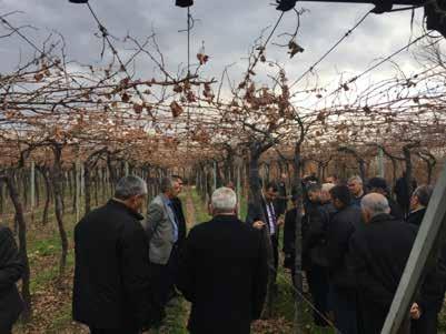 Toplantıları na katılım sağlanmıştır.