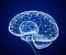 Nörotoksik yan etkiler Ampisilin Amoksisilin Yeni doğanlarda nörotoksik etkiler sık Çocuk ve erişkin hastalarda nadir Akut piskoz en önemli SSS yan etkisi Tedavinin ilk 10 günü içerinde