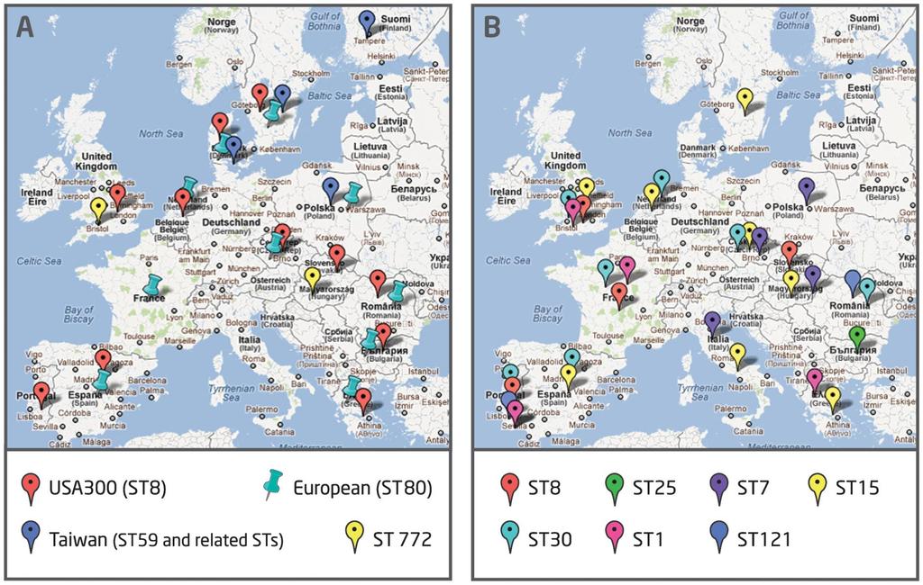 Figure 1. Prevalence of MRSA and MSSA community-associated clones in Europe. Rolo J, Miragaia M, Turlej-Rogacka A, Empel J, et al.