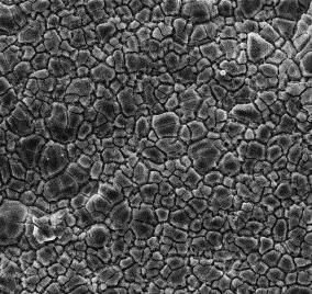 26 Şekil 3.17. Korozyon aşınması izlerinin elektron mikroskobu görüntüsü 3.2.5. Kayma aşınması Genellikle kayma uygulamalarında kayma yüzeyi yağlanır.