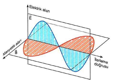 Şekil 1.3 Elektromanyetik dalganın 1 boyutlu görünümü. Elektromanyetik dalganın yayılma yönü sağ el kuralı ile bulunmaktadır.