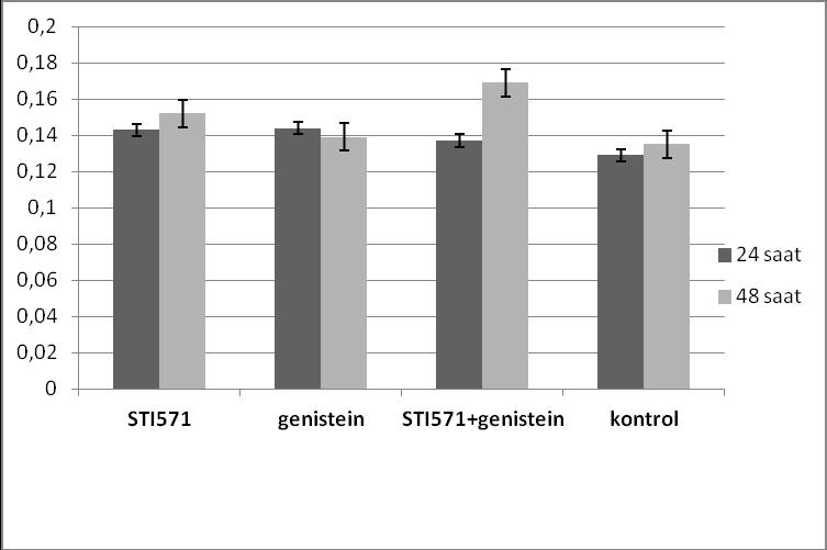 Uygulama/Saat STI571 Genistein 24 saat 30,25µM 513,193µM 48 saat 240µM 737,744µM Tablo 6.1: MTT hücre proliferasyon testlerinin analizi sonuçlarına göre belirlenen dozlar 6.