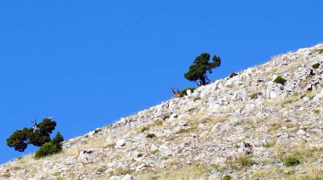 Tokalı Kanyonu ve Akdağ Kıraç (2446m) Tepe Zirvesi (11-13 Ağustos 2017) Yazı ve fotoğraflar: Hüseyin Sarı (www.huseyinsari.net.