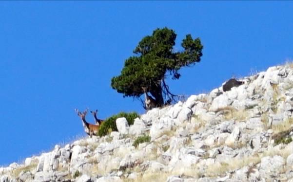 Buradaki çeşmenin yanında kısa bir mola veriyoruz, buradaki çeşmeden su az da