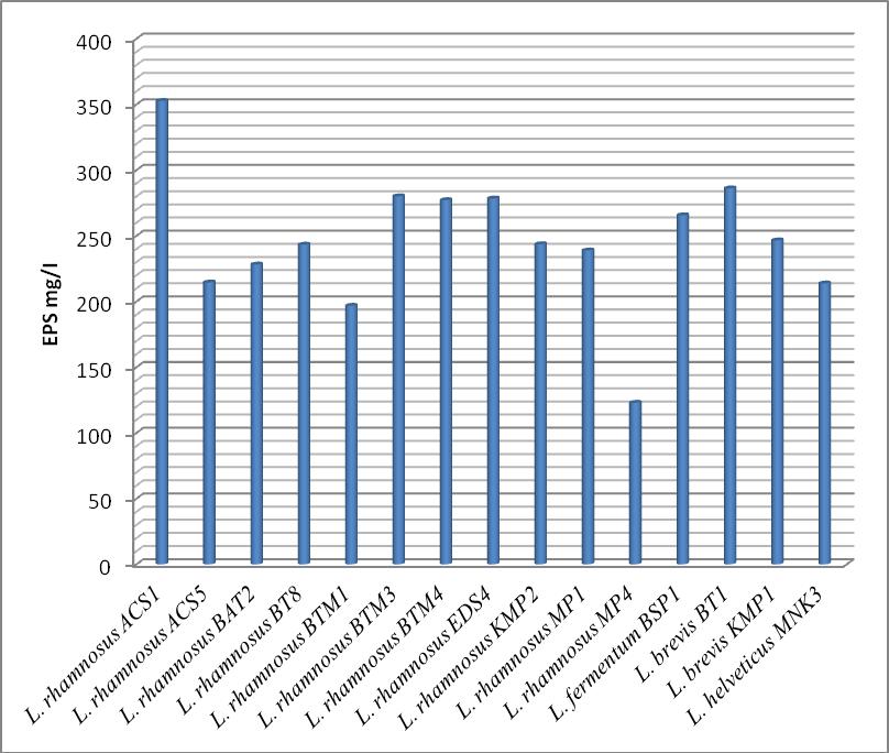 48 Şekil 4.5. Lactobacillus ların MRS besi ortamında EPS üretim miktarları grafiği 4.6.