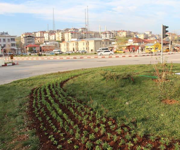 çiçek dikimi yapılmıştır.