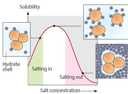 Salting-out, yüksek tuz konsantrasyonlarında proteinler su için tuzlarla yarıştığı sırada meydana gelir.