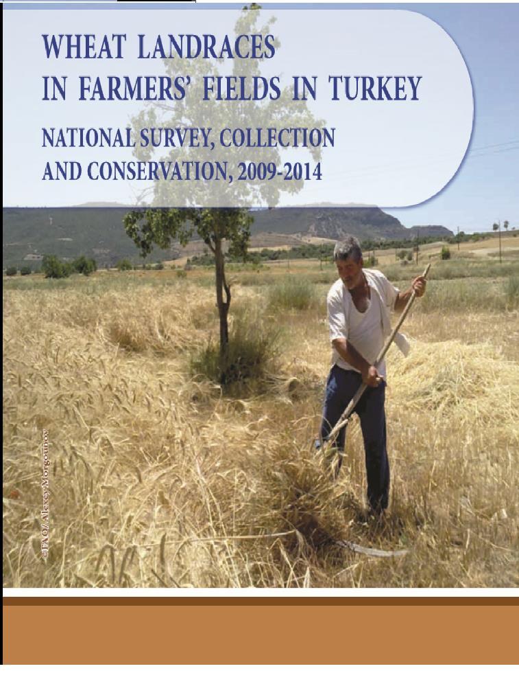 Wheat Landraces in Farmers Fields in Turkey: National Survey, Collection, and