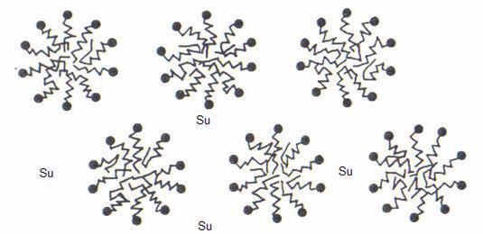 Bu maddeleri termotropik sıvı kristallerden ayırmak için liyotropik sıvı kristaller denilmiştir (Colling 2001).