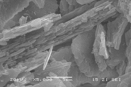 SEM images and EDS analysis of samples