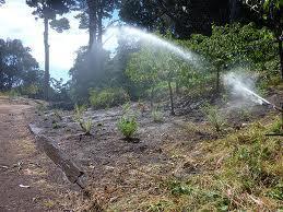 Suyu kabul etmeyen ve onu iten hidrofobik maddelerin toprakta bulunuşu, toprağın ıslanma,