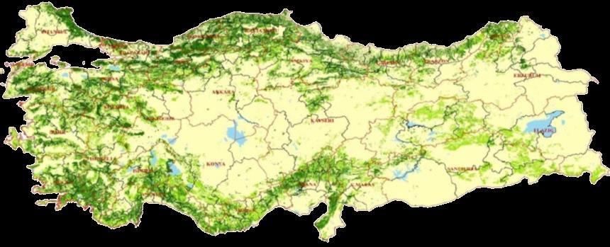 Türkiyede RES'ler ve Ekosistem Değerlendirme Raporu Uygulamaları Tüm RES