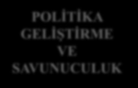 POLİTİKA GELİŞTİRME VE SAVUNUCULUK STRATEJİK