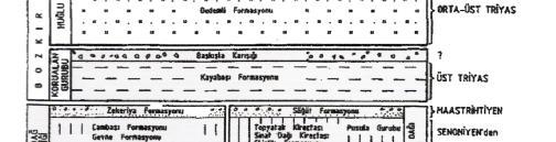 Formasyonu, Orta Üst Eosen yaşlı Çobanağacı Formasyonu, Aladağ Birliği ne bağlı; Üst Devoniyen yaşlı Gölboğazı Formasyonu, Karbonifer yaşlı Yarıcak Formasyonu, Üst Karbonifer Permiyen