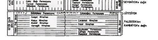 yaşlı Söğüt Formasyonu, Bozkır Birliği içerisinde; Triyas yaşlı Korualan Grubu içerisindeki Kayabaşı Formasyonu, Huğlu Grubu içerisindeki Paleosen-Eosen yaşlı Dedemli formasyonlarıdır