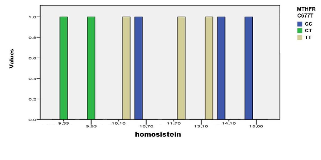 Büyük arter hastalığı için 5-15 μmol/l değerleri ve 15 μmol/l değeri üzerindeki plazma total homosistein düzeyleri ile MTHFR C677T gen polimorfizmleri genotip dağılımları karşılaştırıldı (Şekil
