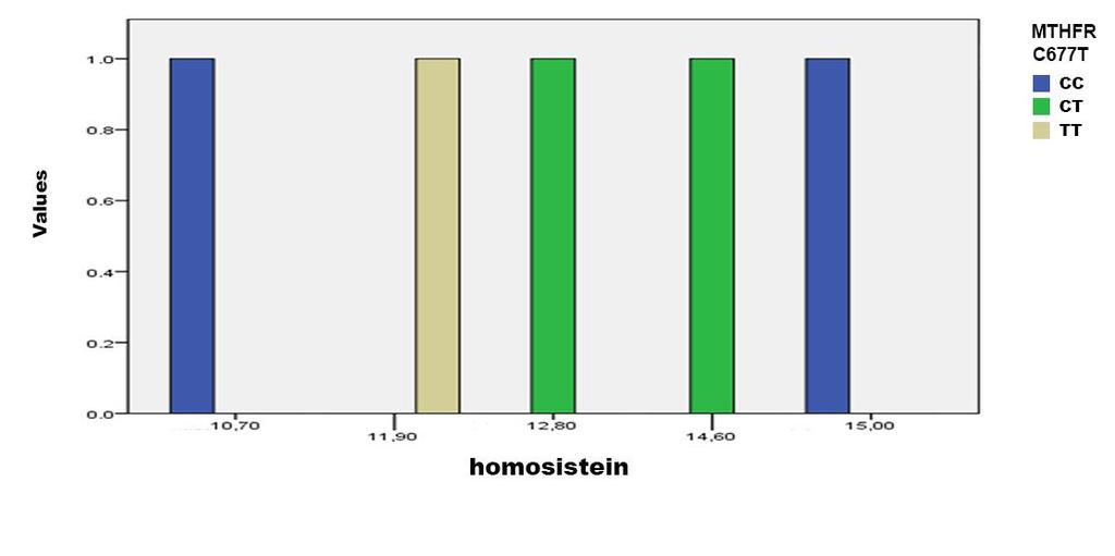 Sebebi belirlenemeyenler için 5-15 μmol/l değerleri ve 15 μmol/l değeri üzerindeki plazma total homosistein