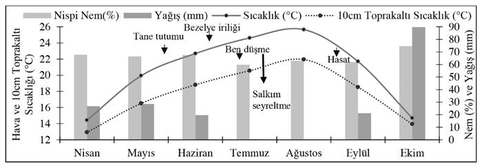 Farklı Yaprak Su Potansiyeli (Ψ yaprak ) ve Salkım Seyreltme Uygulamalarının Sangiovese Üzüm Çeşidinin Fitokimyasal Özellikleri Üzerine Etkileri - Yaprak su potansiyelleri (Ψ yaprak ): Şafak öncesi