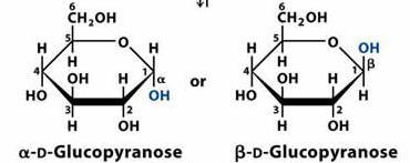 Anomerler: Karbonhidrat epimerlerinin özel bir formudur Anomerik karbonda farklılık vardır. Anomerik karbon aldehitlerde 1.