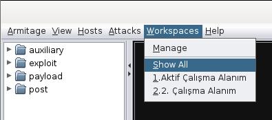 Tekrar ana çalışma alanına geçmek istendiğinde, Workspace -> Show All seçenekleri ile ilerlenebilir.