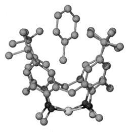 Şekil 1. 2: p-ter-bütilkaliks[4]aren ile Toluen Molekülünün Kompleks Yapısı Kaliksaren bileşikleri iki farklı yöntem ile sentezlenebilmektedirler.