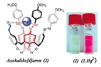 Chung ve grubu p-allil-tri-p-metoksifenilazokaliks[4]areni sentezleyerek, bu bileşiğin Hg 2+ iyonu ile kompleksini incelemişler ve sonuç olarak önemli bir renk değişimi gözlemlemişlerdir.