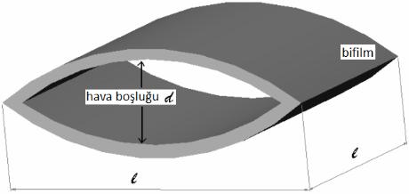 Dışpınar [1] olası bir çift katlı oksit filmi yani bifilmin basitçe şematik gösterimini şematik olarak göstermiş. Bu şematik gösterim Şekil 2.