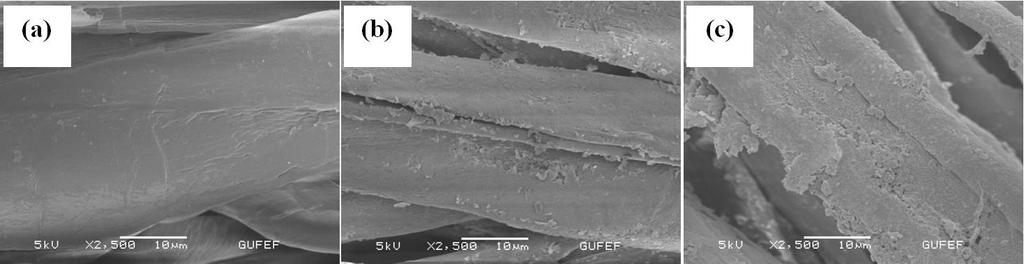 48 Şekil 8.6. Ham selüloz kumaşın (a), Hum-BN (b) ve aq-bn (c) ile kaplı kumaşların SEM görüntüleri Şekil 8.