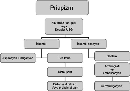 Priapizmin penil arter kan akımına bağlı olarak iskemik, iskemik olmayan ve tekrarlayan olmak üzere üç ayrı tipi vardır. İskemik (venookluzif, düşük akımlı) priapizm en sık görülen tiptir.