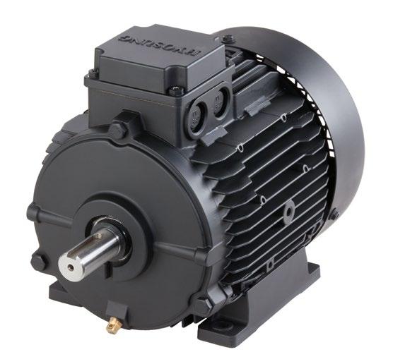 SPRiPM MOTOR VE