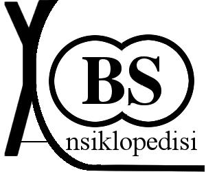 YBS Ansiklopedi www.ybsansiklopedi.