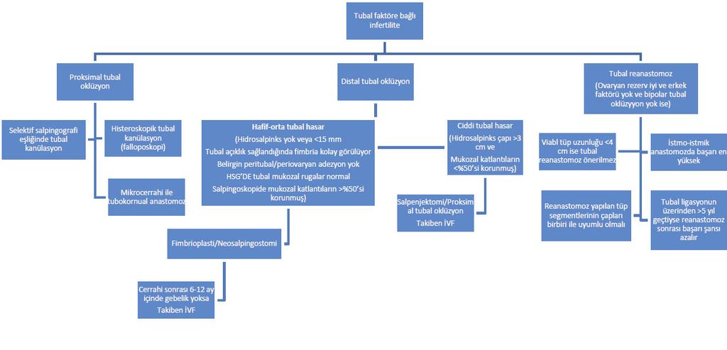 144 KAHYAOĞLU S. ve ark. IX. İnfertil kadınlarda laparoskopi ve histeroskopinin yeri (21) TUBAL FAKTÖR İNFERTİLİTESİNİN CERRAHİ YÖNETİM ALGORİTMASI X.