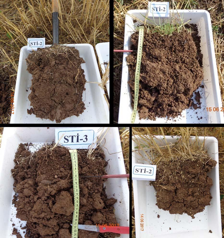 Toprak Doğrudan Ekimli Sıfır Toprak (STİ) Herbisit uygulama Doğrudan tahıl