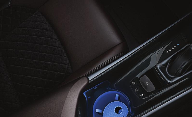 ekranında hibrit sistem göstergesi Hibrit sistem göstergesi ECO sürüş (1) modu göstergesi (1) Premium paketi, Diamond 1.2 L Benzinli turbo M/D S 4x4 versiyonunda standart olarak sunulmaktadır.