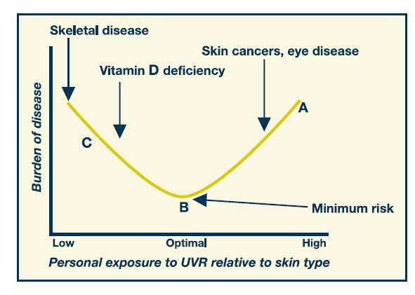 D Vitamini: Optimum Düzey Minimum Risk Güneş Doğal besinler Vitamin