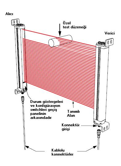 Sistem Görünümü Yüksek çözünürlüklü Banner EZ-SCREEN Sistemi; alıcı, verici ve iki bağlantı kablosuyla 1.10.