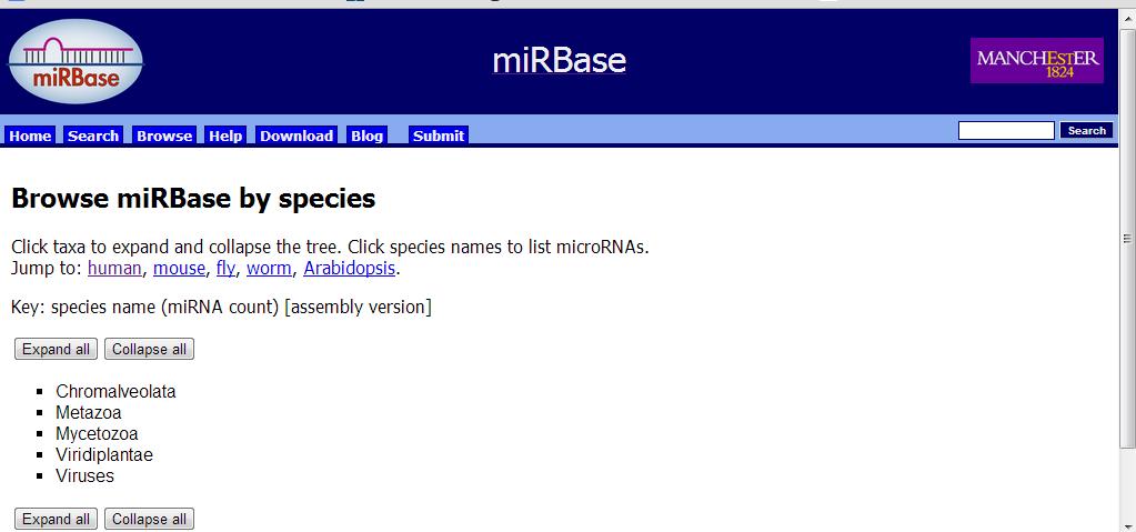 mirbase: mikrornaların bulunduğu