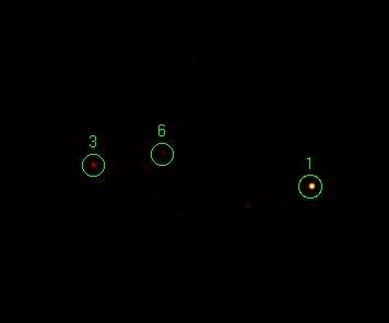 Bu çalışmada NGC 4631 in XMM-Newton gözleminde tayf analizi için yeterli veriye sahip (merkez bölgesi hariç) 5 kaynak (XMM-1, 2, 3, 5 ve 6) incelenmiştir.