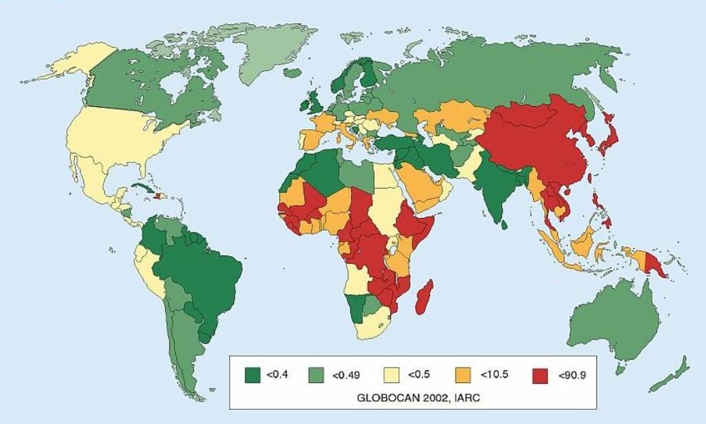 Epidemiyoloji Etiyoloji Sürveyans Kılavuzlar Karaciğerin en sık rastlanan primer malign tümörüdür (% 90). En sık 5.