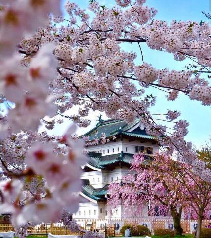 2.Gün 31 Mart 2018 / Cumartesi Tokyo Otelde alınacak sabah kahvaltısı sonrasında Tokyo yapılacak şehir gezimiz için otelden ayrılıyoruz.