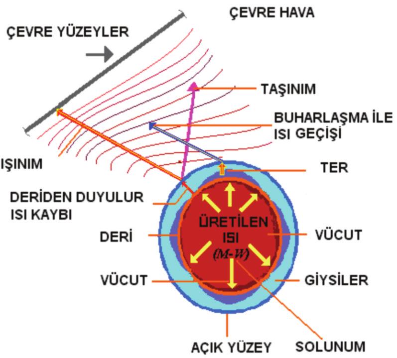 mehmet:sablon 19.11.2009 13:39 Page 62 insanlar konfor hissini yaşayabilir ve yaşamlarını sağlıklı bir şekilde sürdürebilirler.