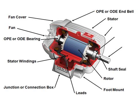 AC MOTOR