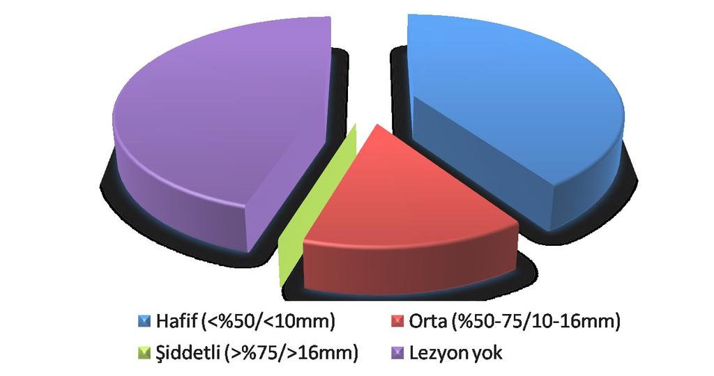 . İyileşme sonrası yarışa dönme oranları - Lezyon