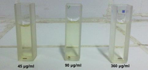 4.2.2.4. Farklı Miktarlarda Alınan IgG lere Göre Hazırlanan Çiplerin Spektrofotometre ile Ölçümleri Bağlanma verimliliğini arttırmak için kullanılan biyotinli IgG protein miktarları ile farklı