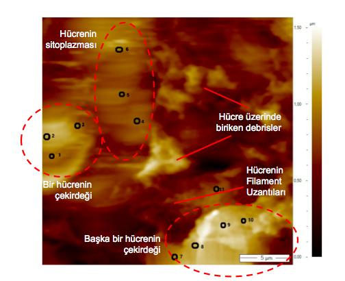 Şekil 4.36.