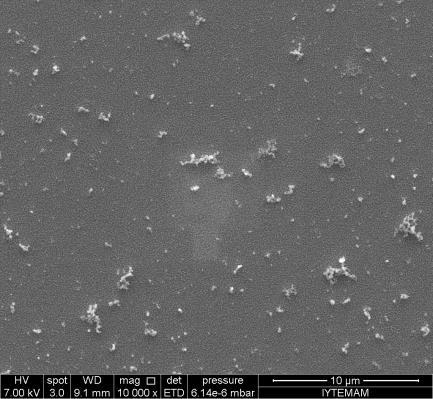 49 a b c ġekil 5.14: ITO elektrot yüzeyindeki poli-fadabso filminin a) 10000, b) 50000, c) 100000 kat büyütülerek kaydedilen SEM fotoğrafları (görüntü alınan alanlar çerçeveyle belirtilmiģtir.