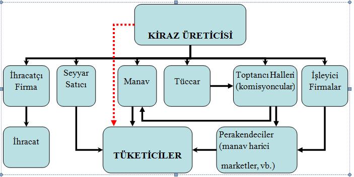 Şekil 1. Kiraz Pazarlama Kanalları (Adanacıoğlu, 2013) Çizelge 1. Üreticilerin Önceki Yıllarda Doğrudan Tüketicilere Yaptığı Satışlarda Kullandığı Seçenekler Doğrudan tüketicilere satış seçenekleri 1.