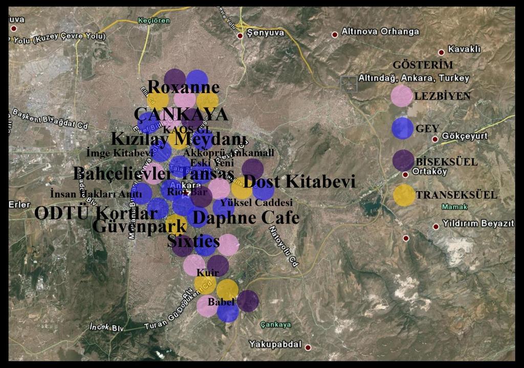 226 Caddesi ni, %1 i Ankamall ü, %1 i ODTÜ Kortları, %1 i Eski Yeni yi ve %1 i Riot u seçmektedir. Dost Kitabevi nde buluşmayı tercih edenlerin %42 si gey, %29 u lezbiyen ve %29 u biseksüeldir.