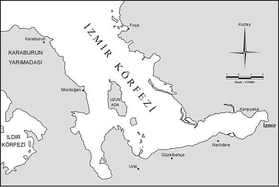 Coombs ve diğ., (1997) nin İtalya da hamsi larvalarının besin ve beslenmesi, Capitanio ve diğ.