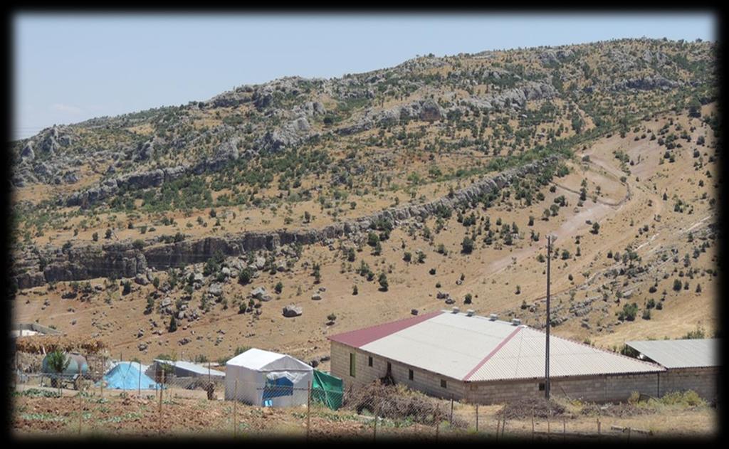 Gercüş Becirman Şekil 50 Aşağınasırlı Köyü civarı